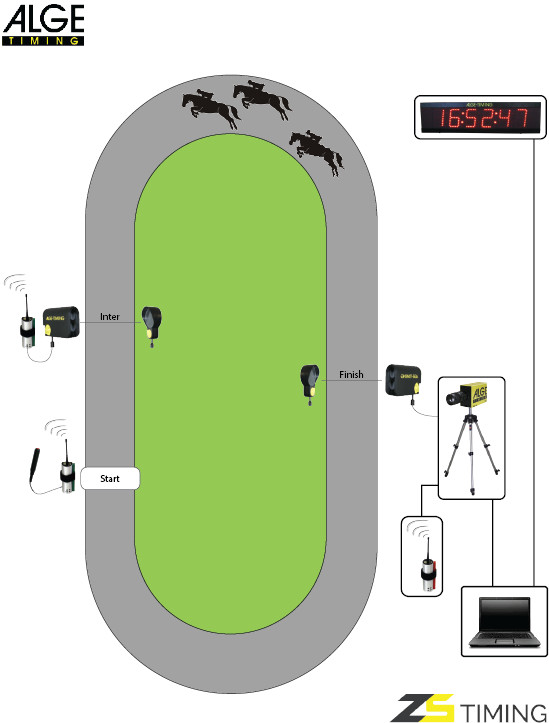 Equitazione Galoppo Trotto Alge