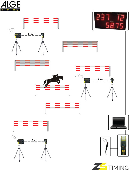 Equitazione Jumping WTN Alge