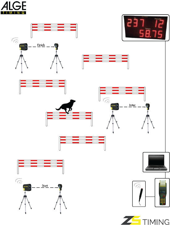 impianto di cronometraggio wireless agility dog